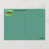 Schmetterlingskarte Postkarte (Rückseite)