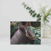 Schmetterlingskarte Postkarte (Stehend Vorderseite)