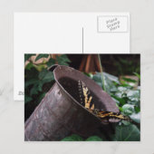 Schmetterlingskarte Postkarte (Vorne/Hinten)