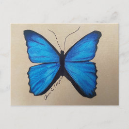 Schmetterlingskarte Postkarte