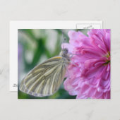 Schmetterlingskarte Postkarte (Vorne/Hinten)