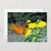 Schmetterlingskarte Postkarte (Vorne/Hinten)