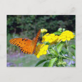 Schmetterlingskarte Postkarte (Vorderseite)