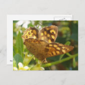 Schmetterlingskarte Postkarte (Vorne/Hinten)