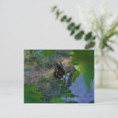Schmetterlingskarte Postkarte (Stehend Vorderseite)