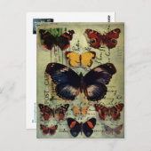 Schmetterlingskarte Postkarte (Vorne/Hinten)