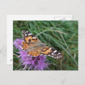 Schmetterlingskarte Postkarte (Vorne/Hinten)