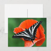 Schmetterlingskarte Postkarte (Vorne/Hinten)