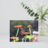 Schmetterlingskarte Postkarte (Stehend Vorderseite)