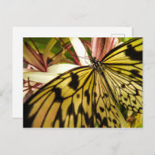 Schmetterlingskarte Postkarte (Vorne/Hinten)