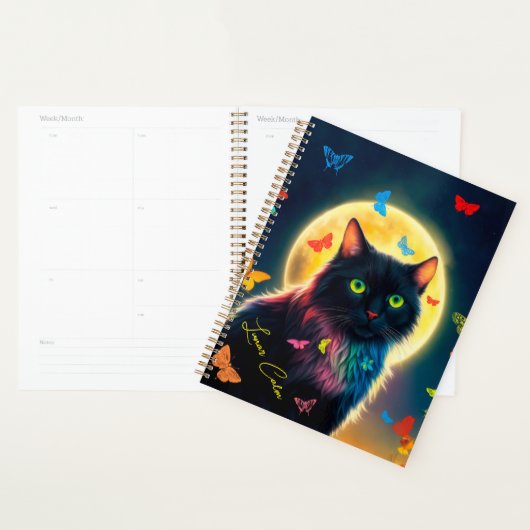 Schmetterlingskatze strahlend Insektenstich Planer (Anzeige)