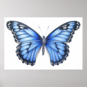 Schmetterlingskizze Poster (Vorne)