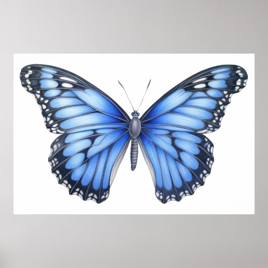 Schmetterlingskizze Poster (Vorne)