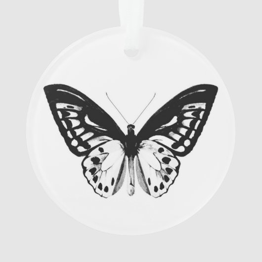Schmetterlingskizze, schwarz-weiß ornament (Rückseite)