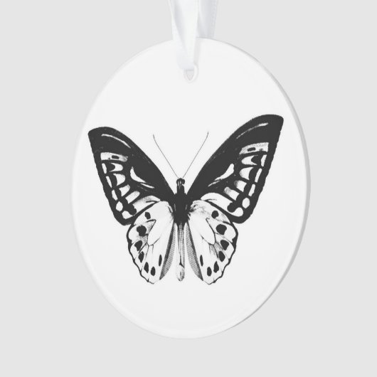 Schmetterlingskizze, schwarz-weiß ornament (Vorderseite)
