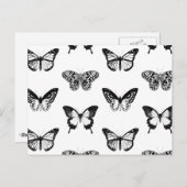 Schmetterlingskizze, schwarz-weiß postkarte (Vorne/Hinten)