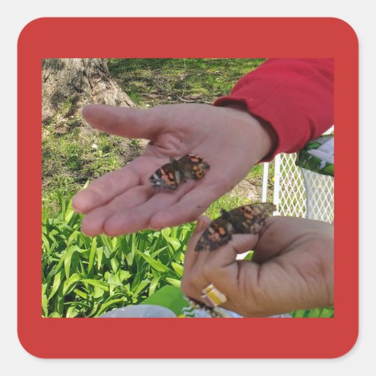 Schmetterlingslasche Quadratischer Aufkleber (Vorderseite)