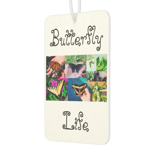 Schmetterlingsleben Autolufterfrischer (Links)