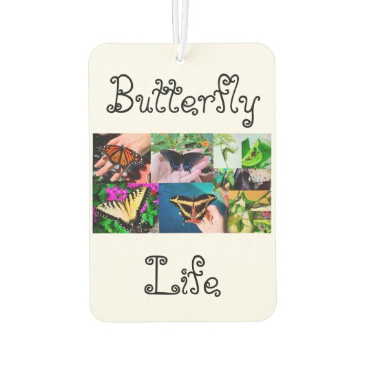 Schmetterlingsleben Autolufterfrischer (Rückseite)