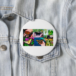 Schmetterlingsleben Button