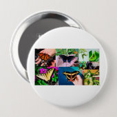 Schmetterlingsleben Button (Vorne & Hinten)