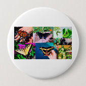 Schmetterlingsleben Button (Vorderseite)