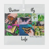 Schmetterlingsleben Ornament Aus Glas (Vorderseite)