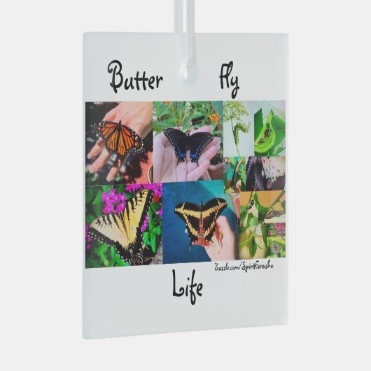 Schmetterlingsleben Ornament Aus Glas (Vorderseite Rechts)