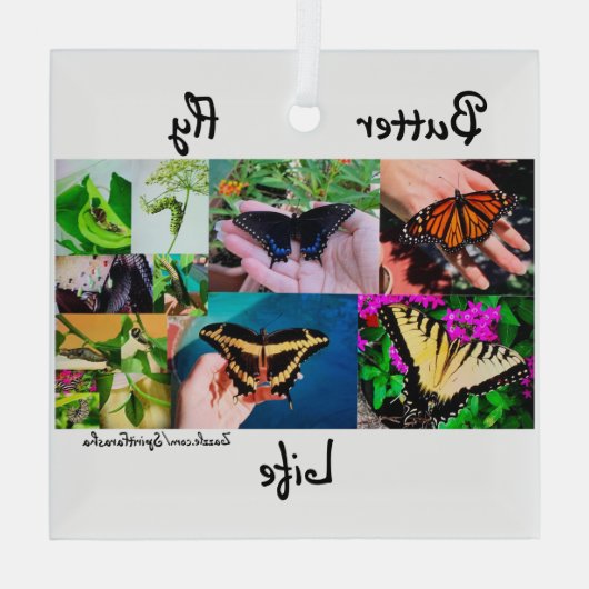 Schmetterlingsleben Ornament Aus Glas (Rückseite)