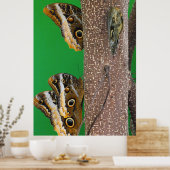 Schmetterlingsleben Poster (Küche)