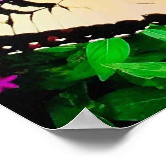 Schmetterlingsleben Poster (Ecke)