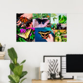 Schmetterlingsleben Poster (Heimbüro)