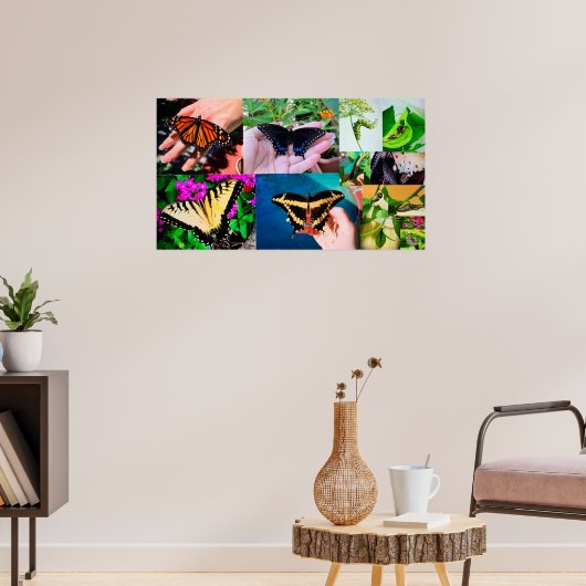Schmetterlingsleben Poster (Wohnzimmer 3)