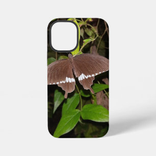 Schmetterlingsliebhaber-Geschenk iPhone 12 Mini Hülle