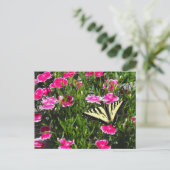 Schmetterlingslieferung Postkarte (Stehend Vorderseite)