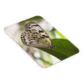 Schmetterlingsmagnet Magnet (Rechte Seite)