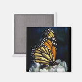 Schmetterlingsmagnet Magnet (Vorderseite/Rückseite)