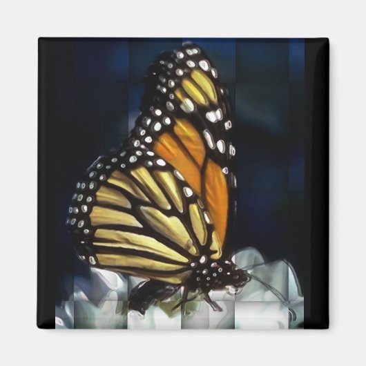 Schmetterlingsmagnet Magnet (Vorne)