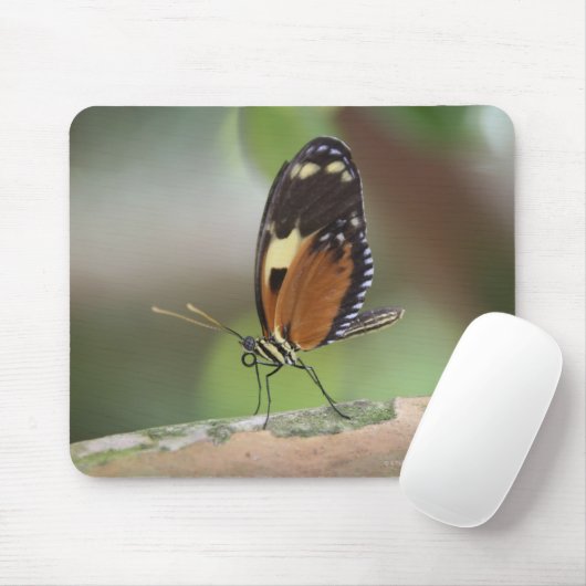 Schmetterlingsmakro Mousepad (Mit Mouse)