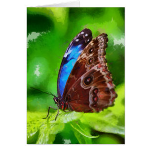 Schmetterlingsmalerei