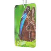 Schmetterlingsmalerei Autolufterfrischer (Links)