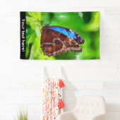 Schmetterlingsmalerei Banner (Insitu)