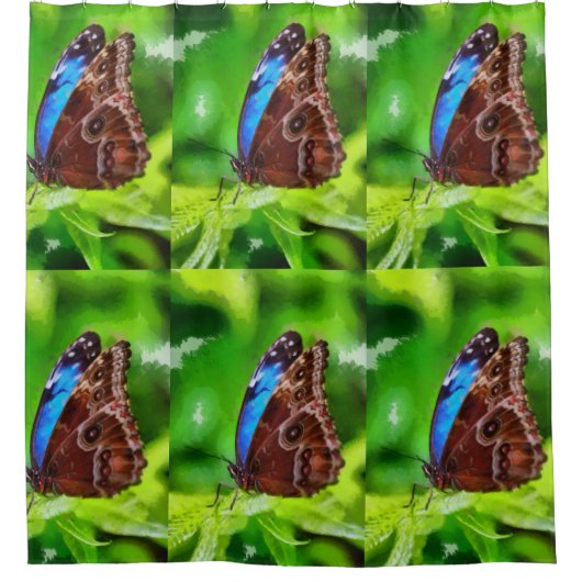 Schmetterlingsmalerei Duschvorhang (Vorderseite)