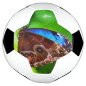 Schmetterlingsmalerei Fußball (Gedreht)