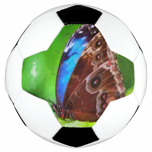 Schmetterlingsmalerei Fußball (Vorderseite)