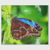 Schmetterlingsmalerei Geschenkpapier (Flach)