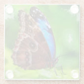 Schmetterlingsmalerei Glasuntersetzer (Rückseite)