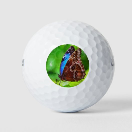 Schmetterlingsmalerei Golfball (Vorderseite)