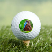 Schmetterlingsmalerei Golfball (Insitu T-Shirt)
