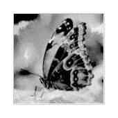 Schmetterlingsmalerei Gummistempel (Prägung)